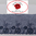 Netzspitze blau, florale Stickerei, einseitiger Zierabschluß(1stk = 1m)
