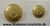 Ösenknopf gold mit kleinem Wappen dm 18-20mm