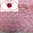 Rüschenborte Organza rot, blau od rosa mit weißen Punkten